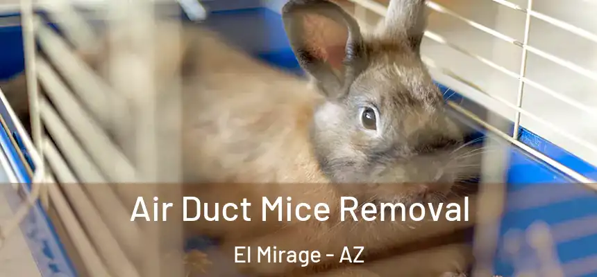 Air Duct Mice Removal El Mirage - AZ