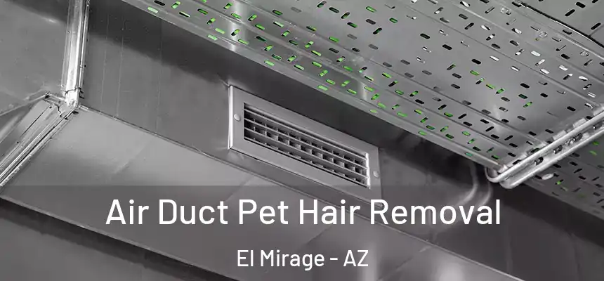  Air Duct Pet Hair Removal El Mirage - AZ