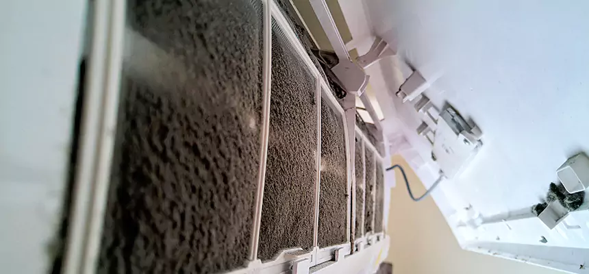 Preventive Air Duct Bacteria Removal in El Mirage