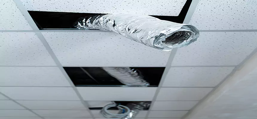 Our Air Duct Pet Hair Removal Services in El Mirage, AZ