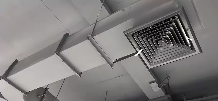 Restorative Allergy Relief Vent Cleaning – Coil, Blower & Housing Detail in El Mirage