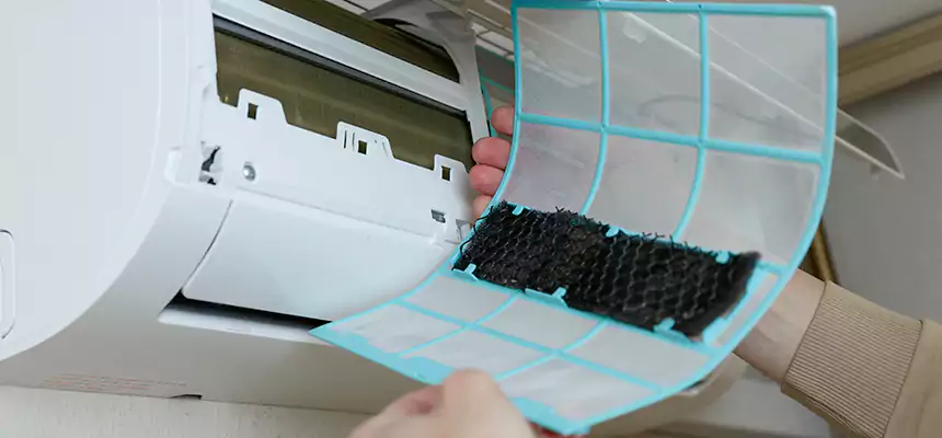 Gentle Ductwork Odor-Control Pet Dander Duct Cleaning in El Mirage, AZ