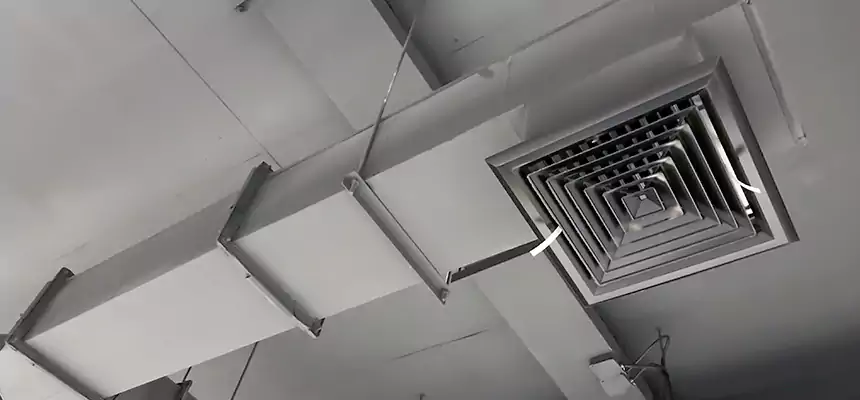 Our Rodent Droppings In Vents Services in El Mirage, AZ