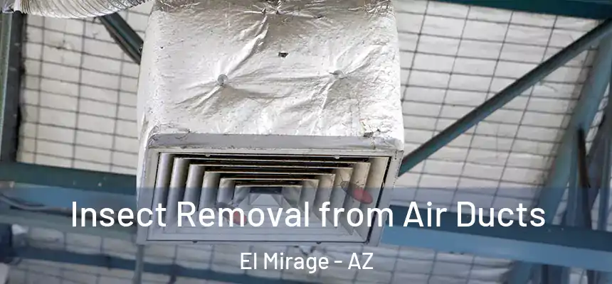 Insect Removal from Air Ducts El Mirage - AZ