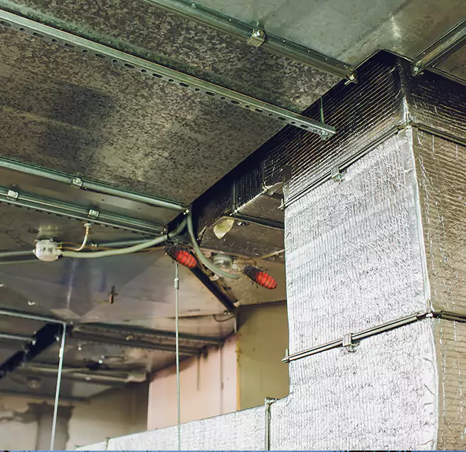 Why Homeowners & Businesses Trust Us in El Mirage, AZ?