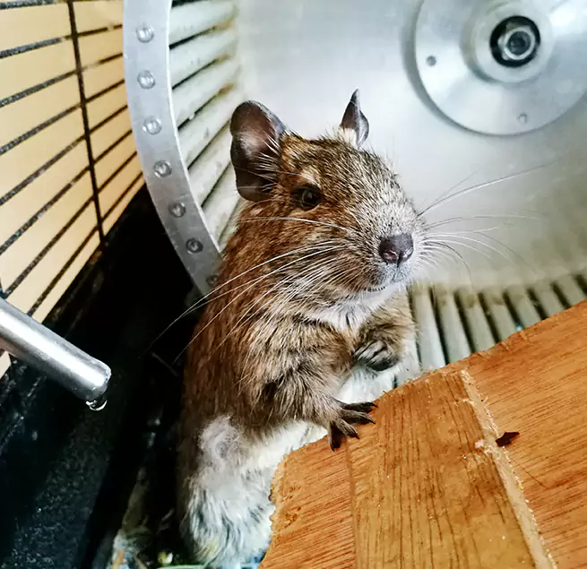 Why Homeowners & Businesses Trust Us El Mirage, AZ?