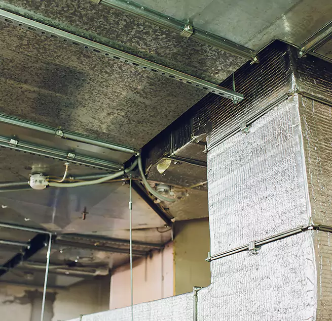 Why Homeowners & Businesses Trust Us in El Mirage, AZ?