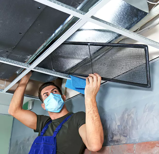  Why Homeowners Businesses Trust Us  in El Mirage, AZ?